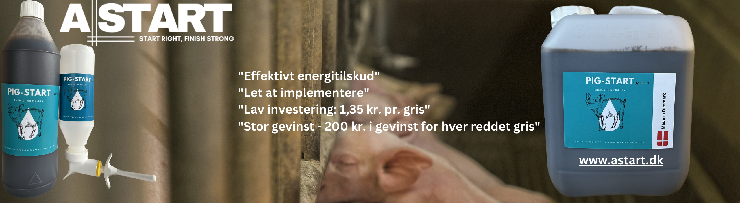 Pig Start - energitidskud