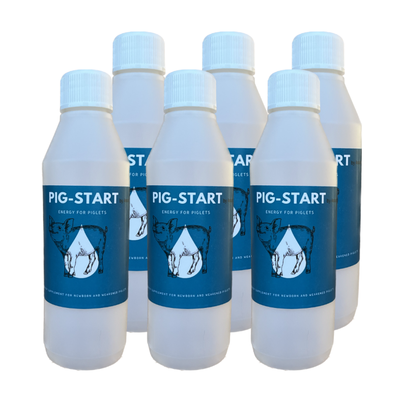 Plastflaske 250 ml * 6stk